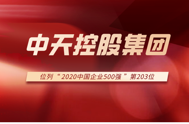 九游老哥集团列2020中国企业500强第203位！
